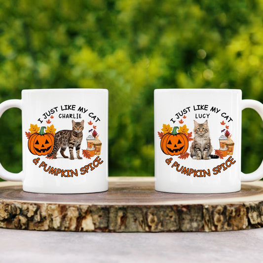I JUST LIKE MY CAT & PUMPKIN SPICE - CUSTOMIZABLE 11oz MUG