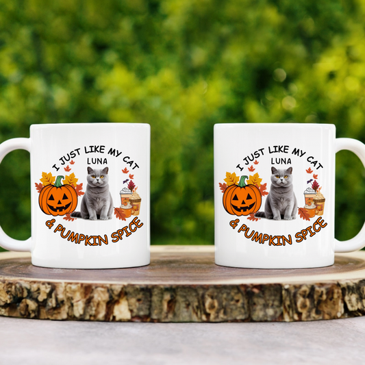 I JUST LIKE MY CAT & PUMPKIN SPICE - CUSTOMIZABLE 11oz MUG